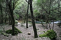 Rio Sarcidano - (IMG_3572)